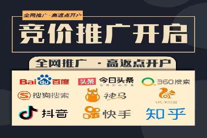 实战经验分享：SEO与SEM优化案例精选